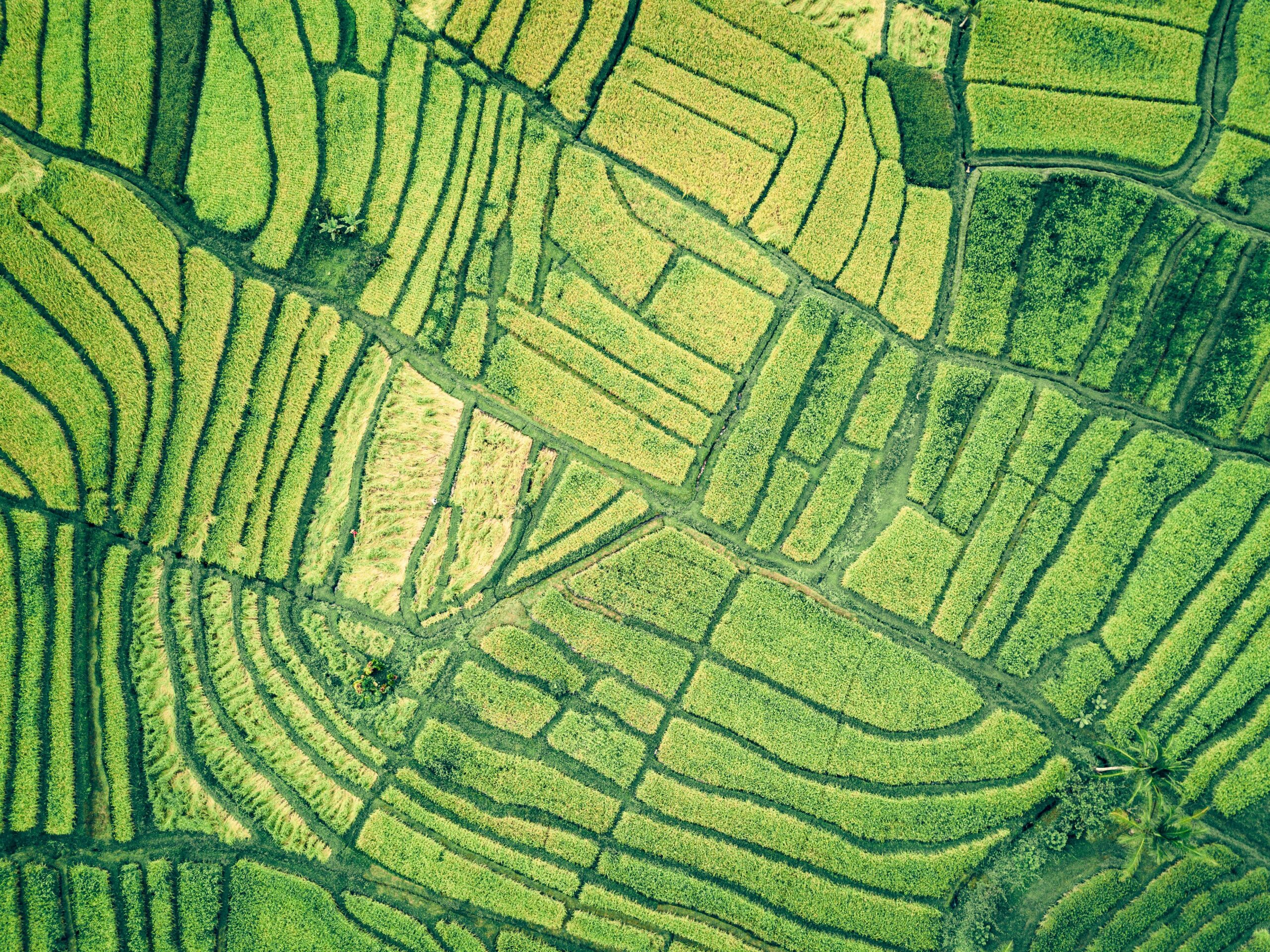 The Top 3 ESG Reporting Frameworks You Need to Know About