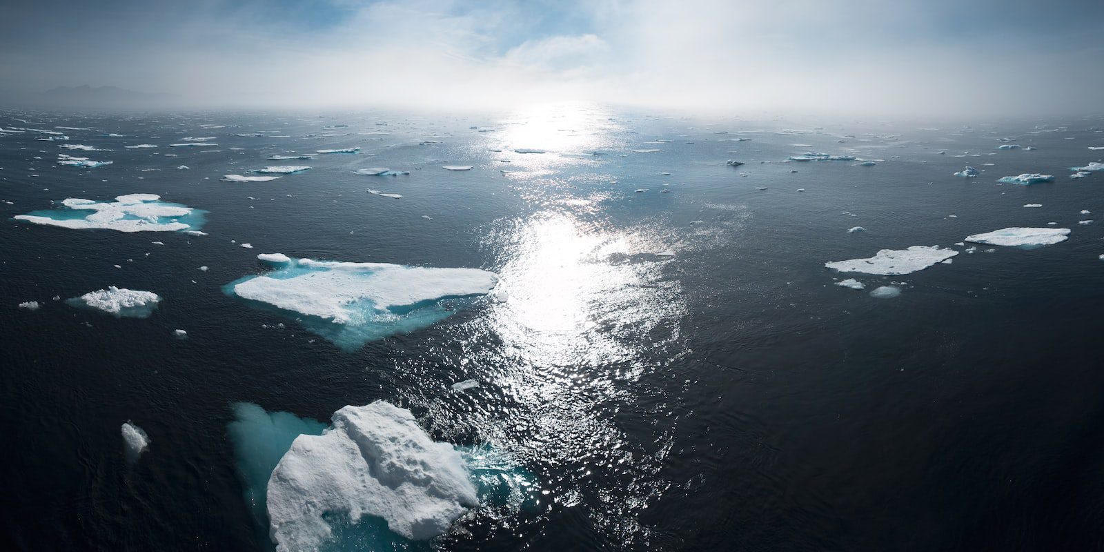 What is the Climate Disclosure Standards Board (CDSB)?
