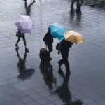 Tackling ESG Risk: What Businesses Need to Know About Effective ESG Compliance
